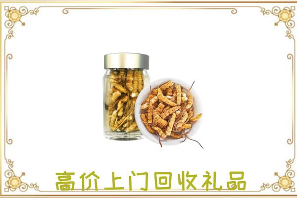 二道江周边回收虫草